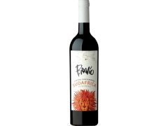 VINO BRAVIO SUDAFRICA 750 CC