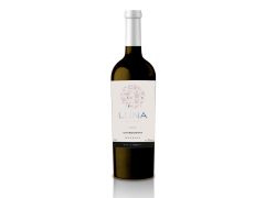 VINO LUNA CHARDONNAY 750 CC